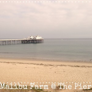 MAlibu farm at the pier